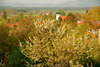TENDA Camping-Park GmbH